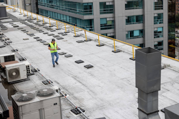 Best Roof Restoration  in Dover, DE