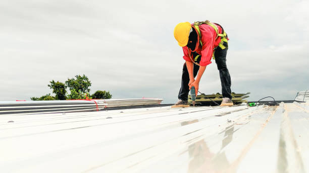 Best Asphalt Shingle Roofing  in Dover, DE