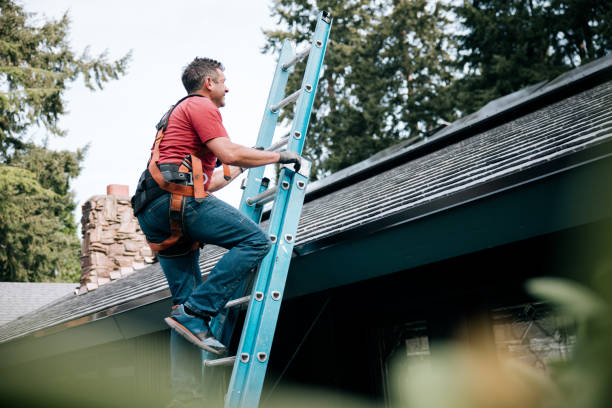 Best Roof Installation  in Dover, DE